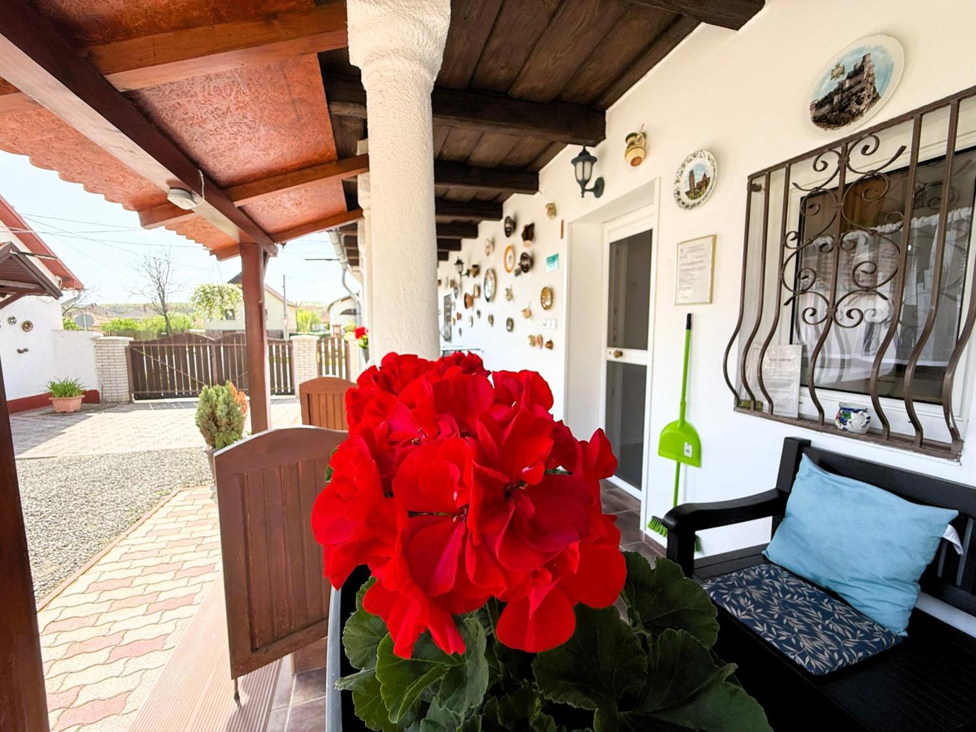 Harmony Vendeghaz Egerszalok Apartment Luaran gambar